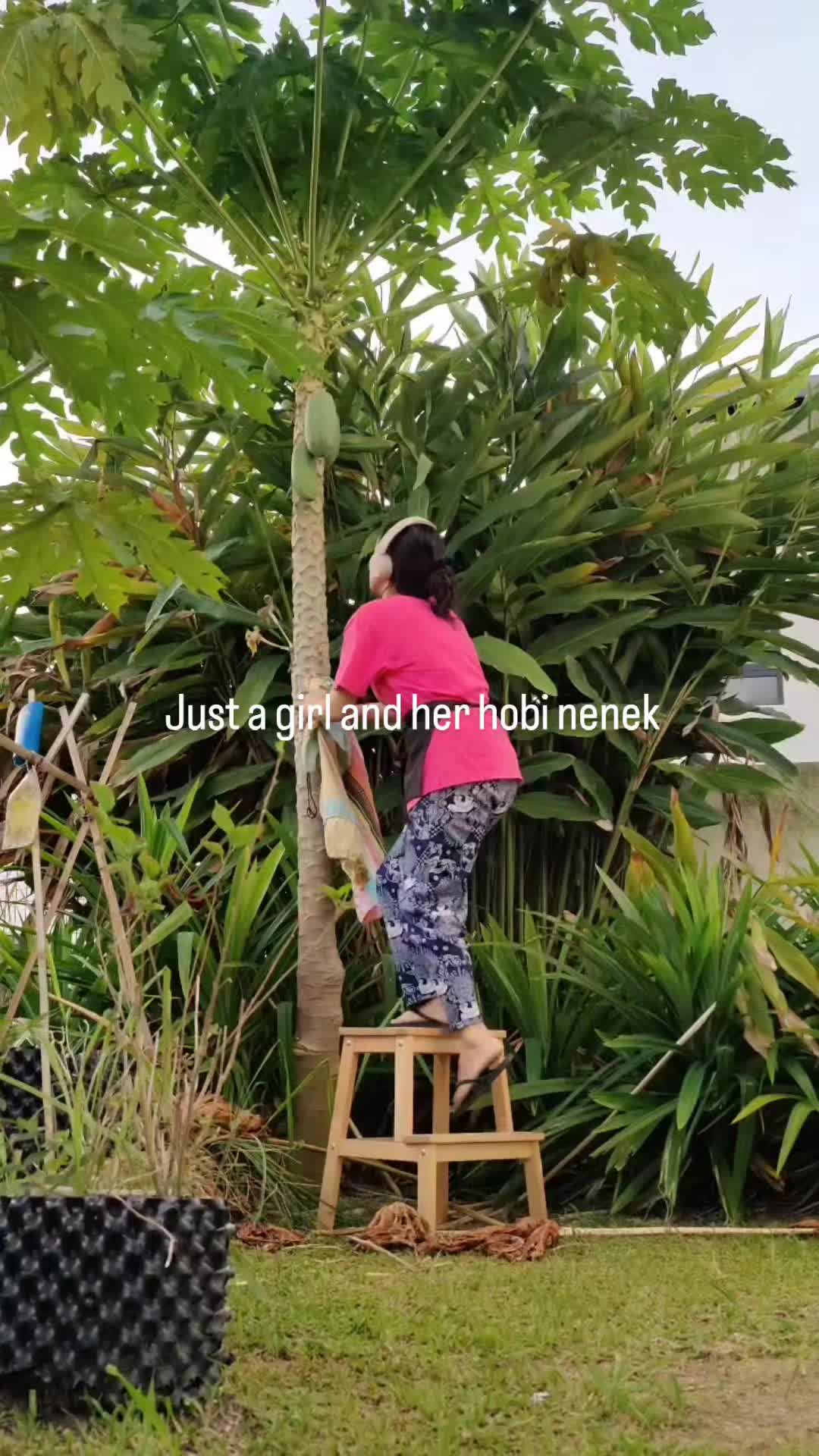 @Joo Ann