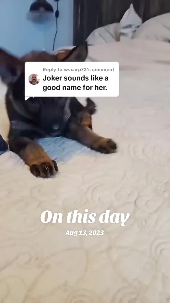 @shotgunJenny