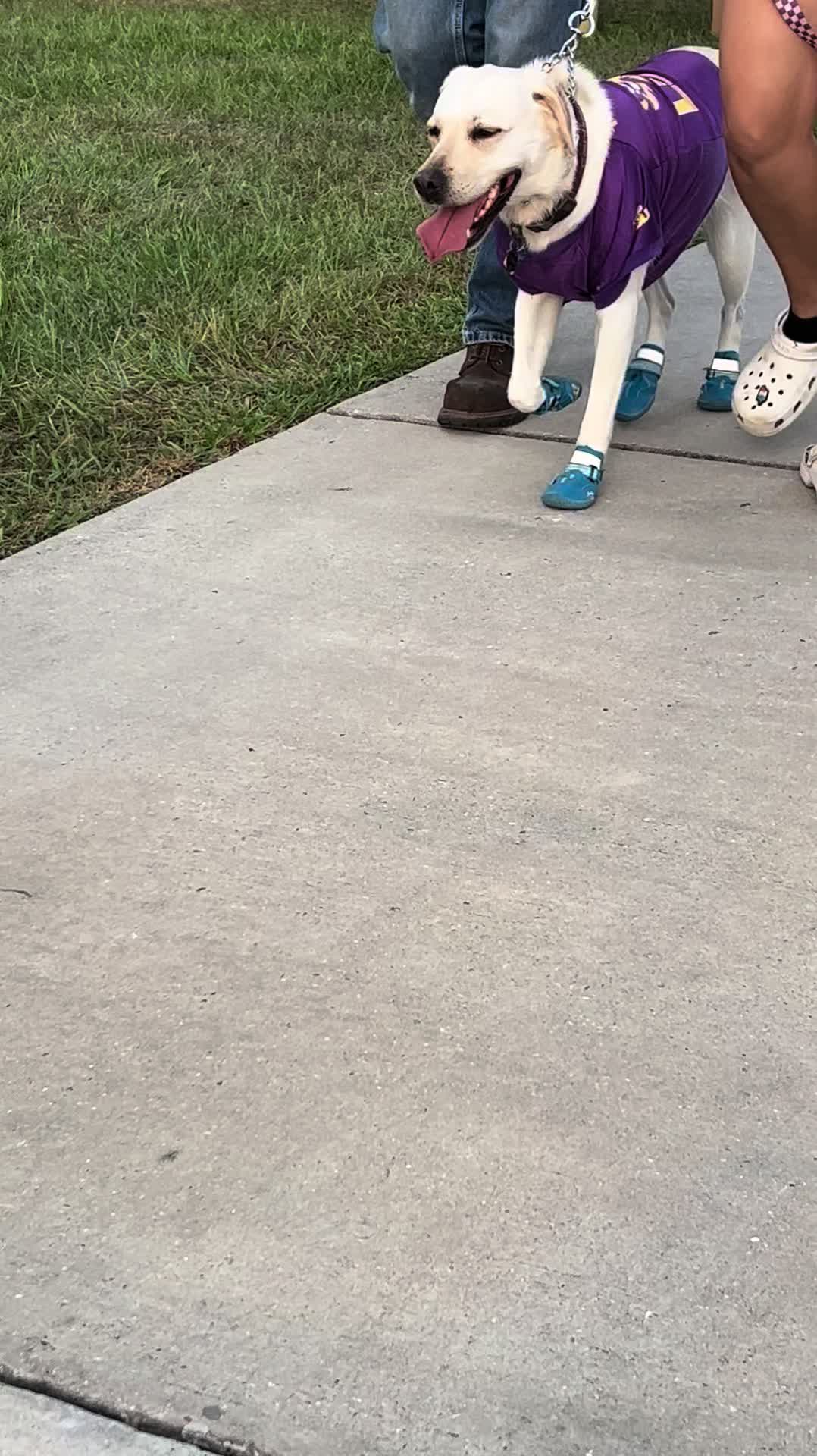 @2Clean