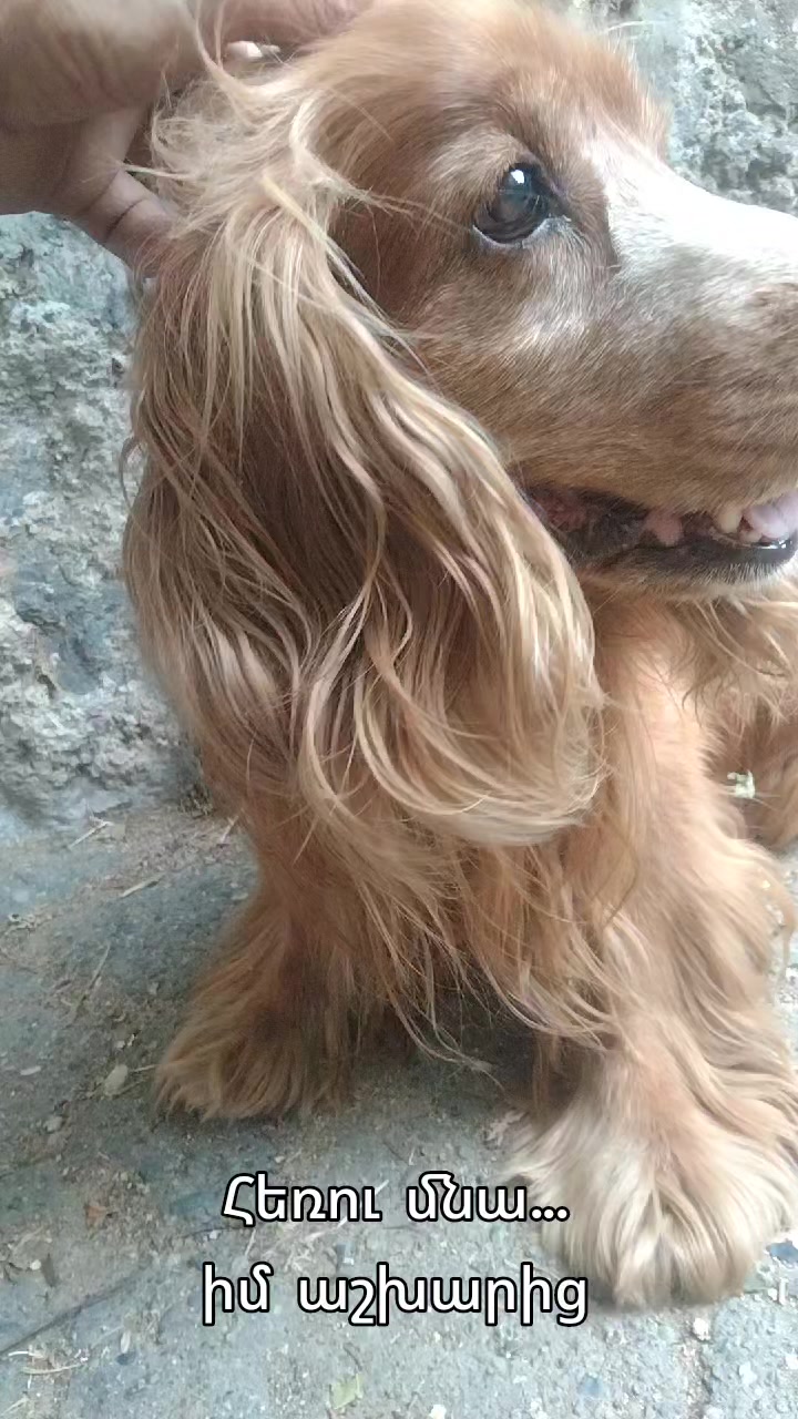 @Артур