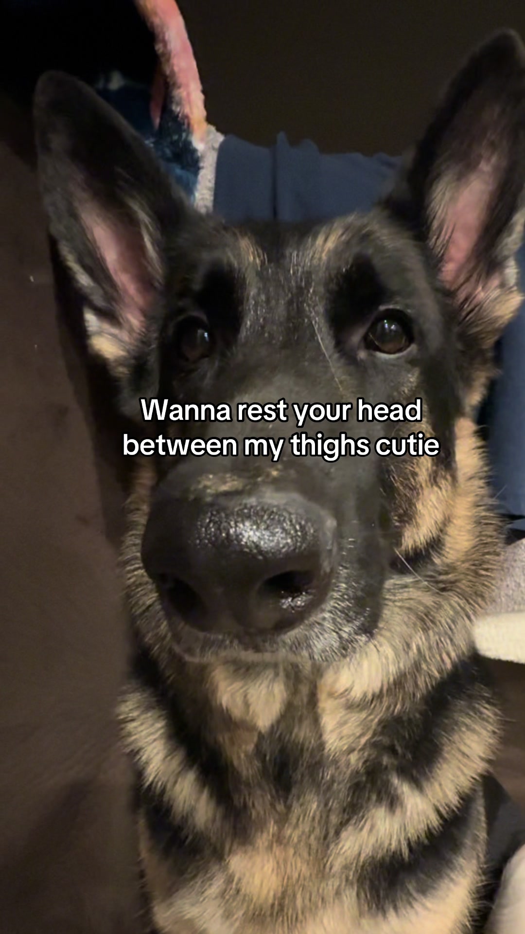 @Bhris