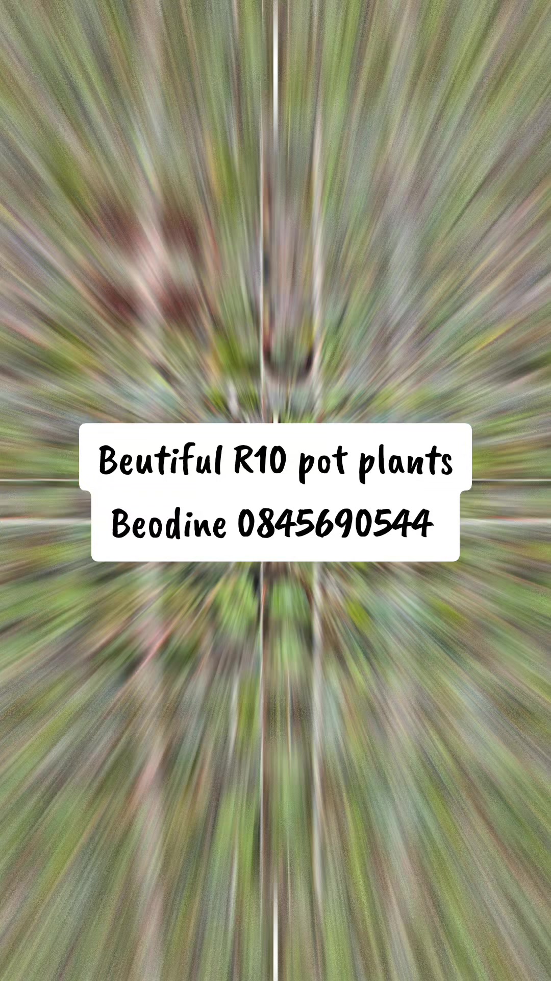 @Beodine Pedro ❤️