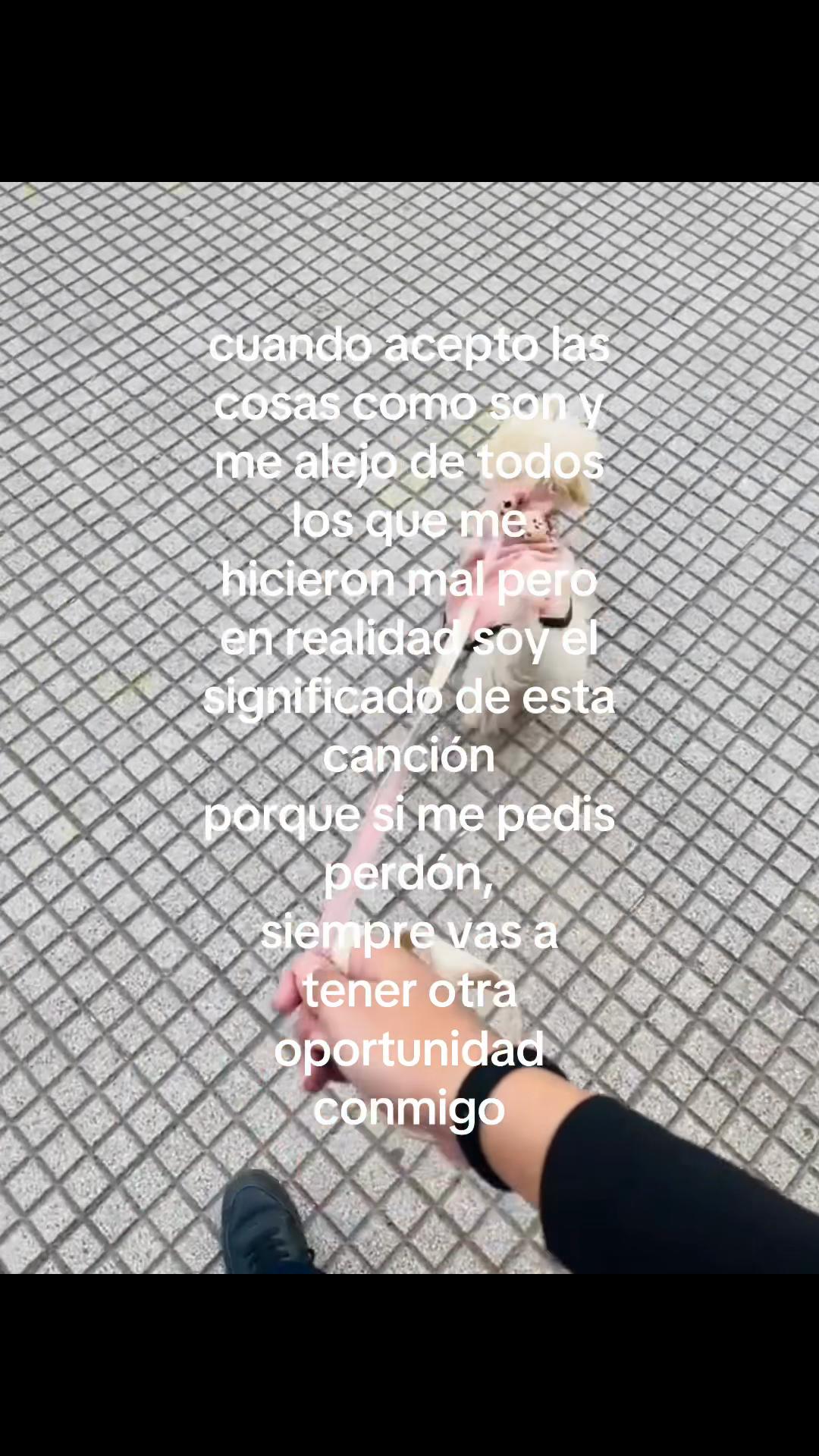 @🔒