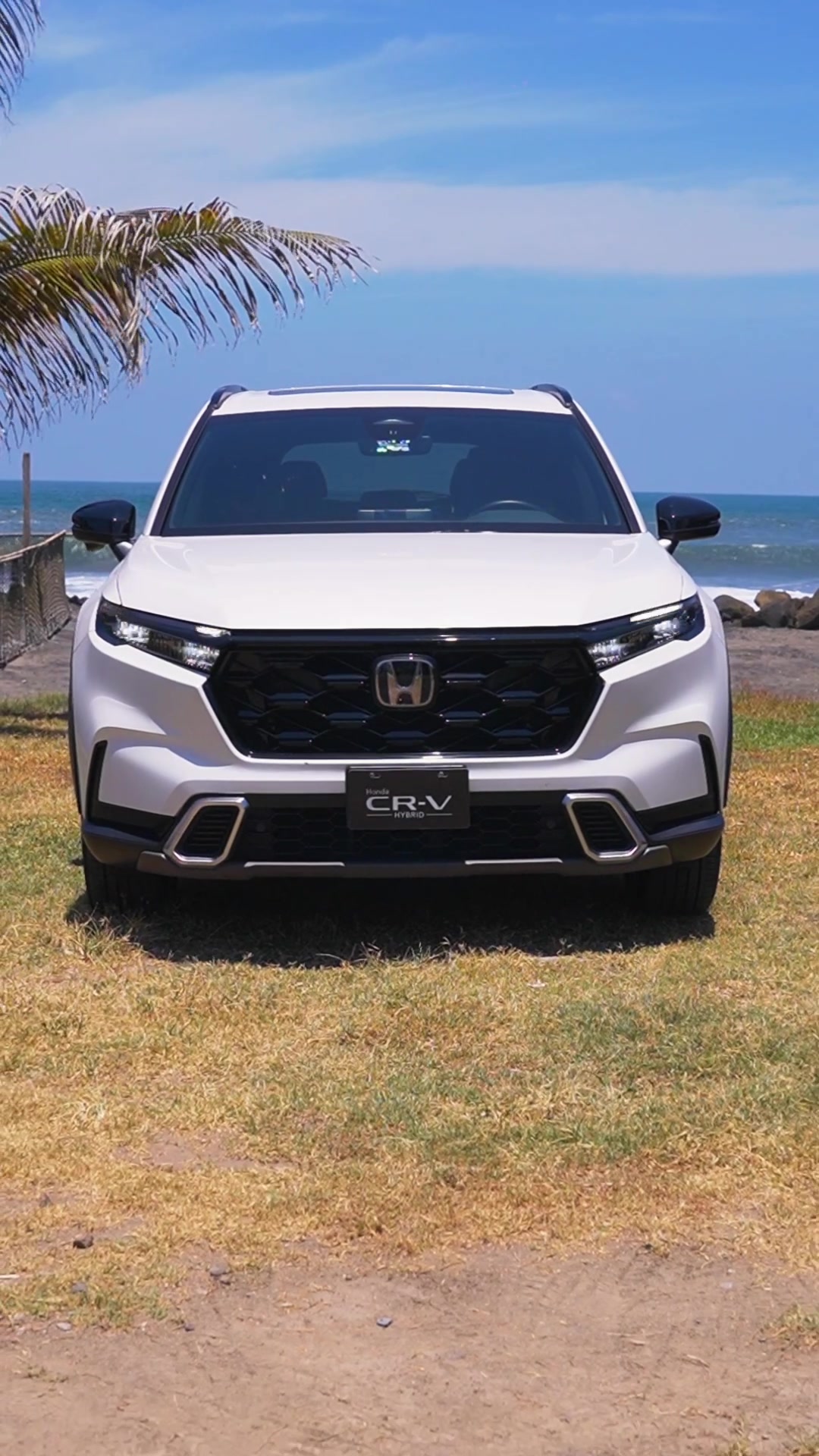@Honda Elegance
