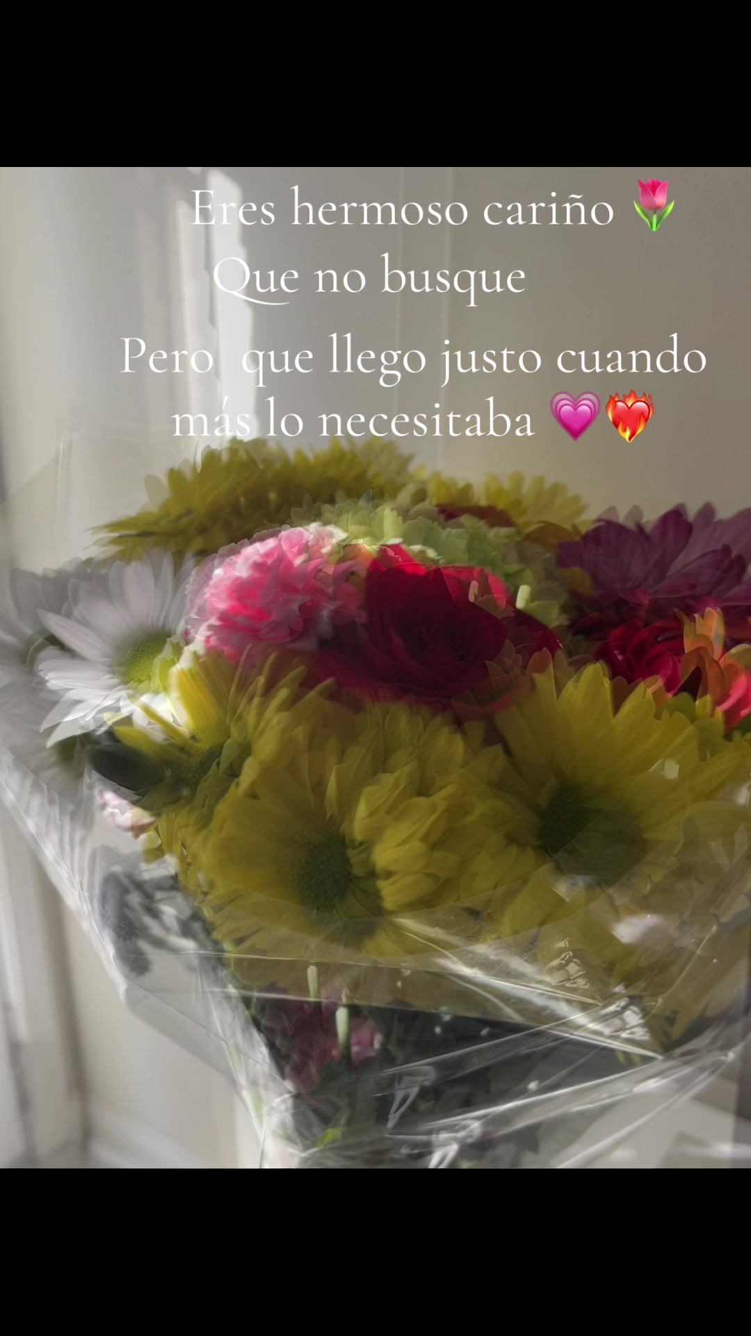 @Kenyy 1234