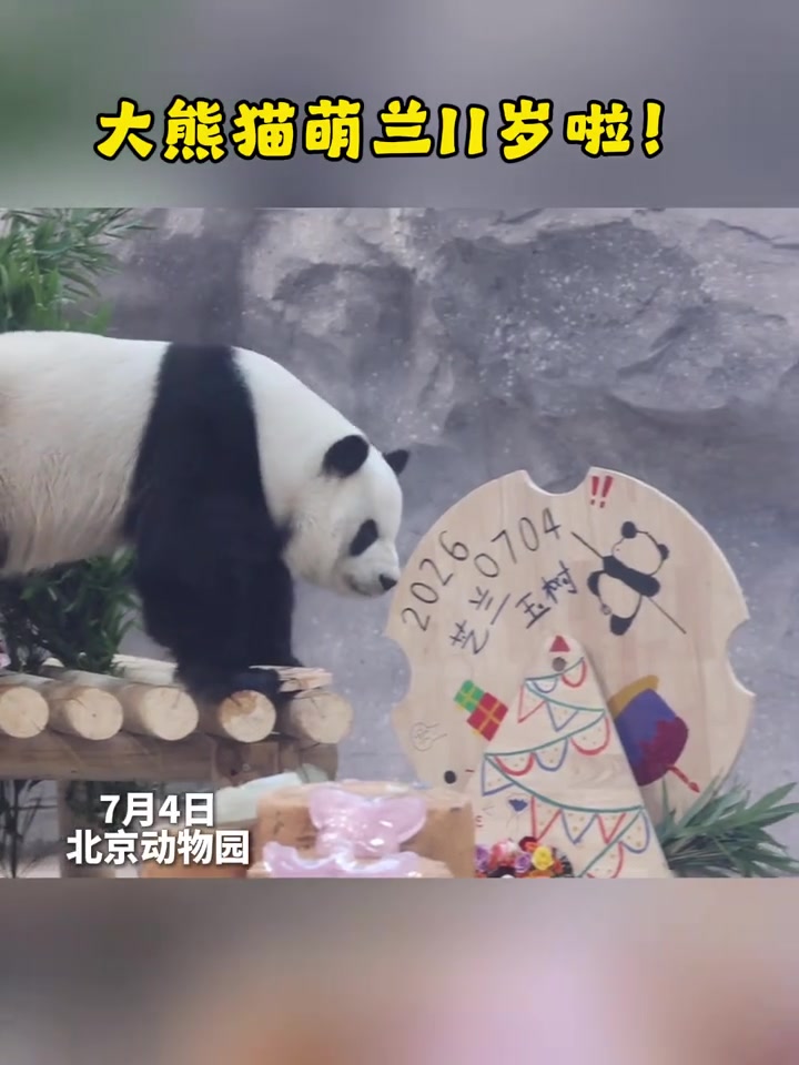 @熊猫妹珠🐼