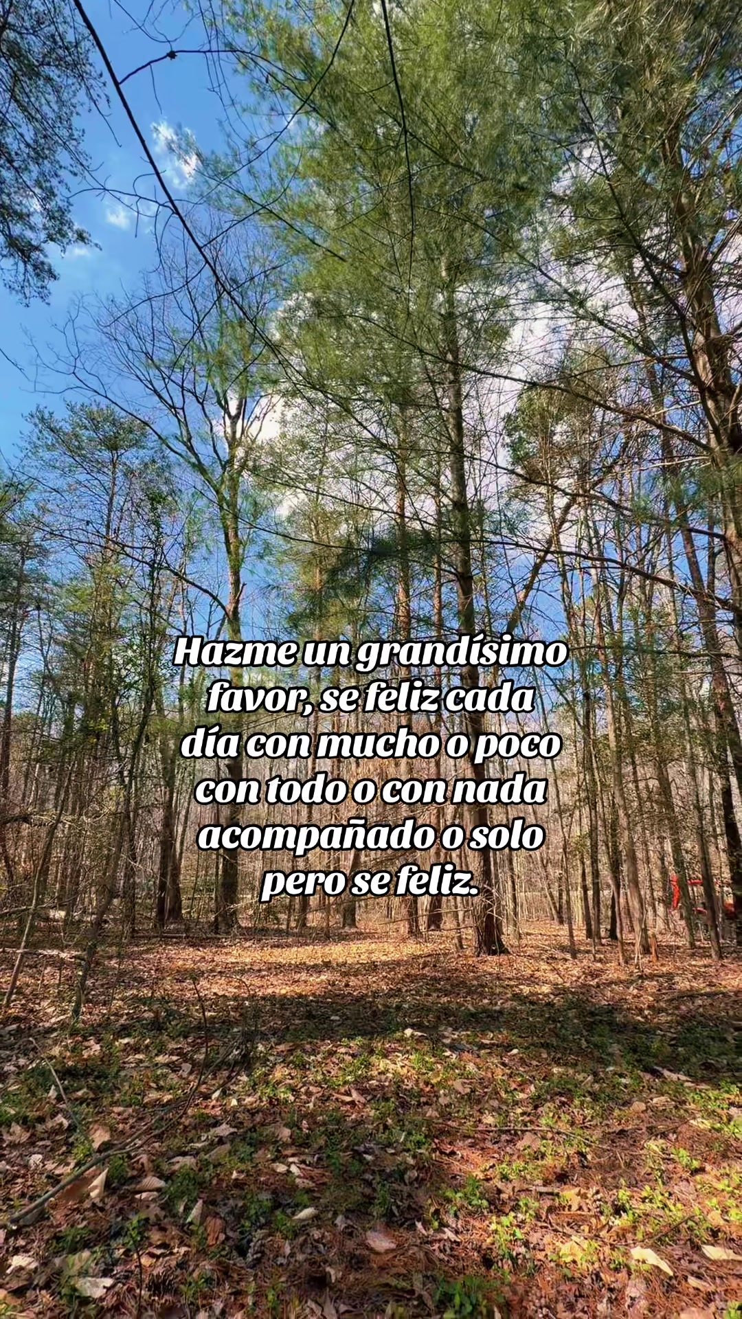 @mujereschingonas8