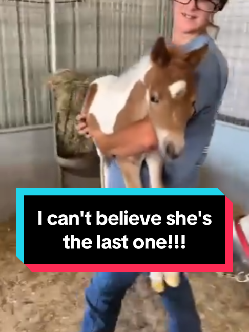@Dr.Nicole-VetMed