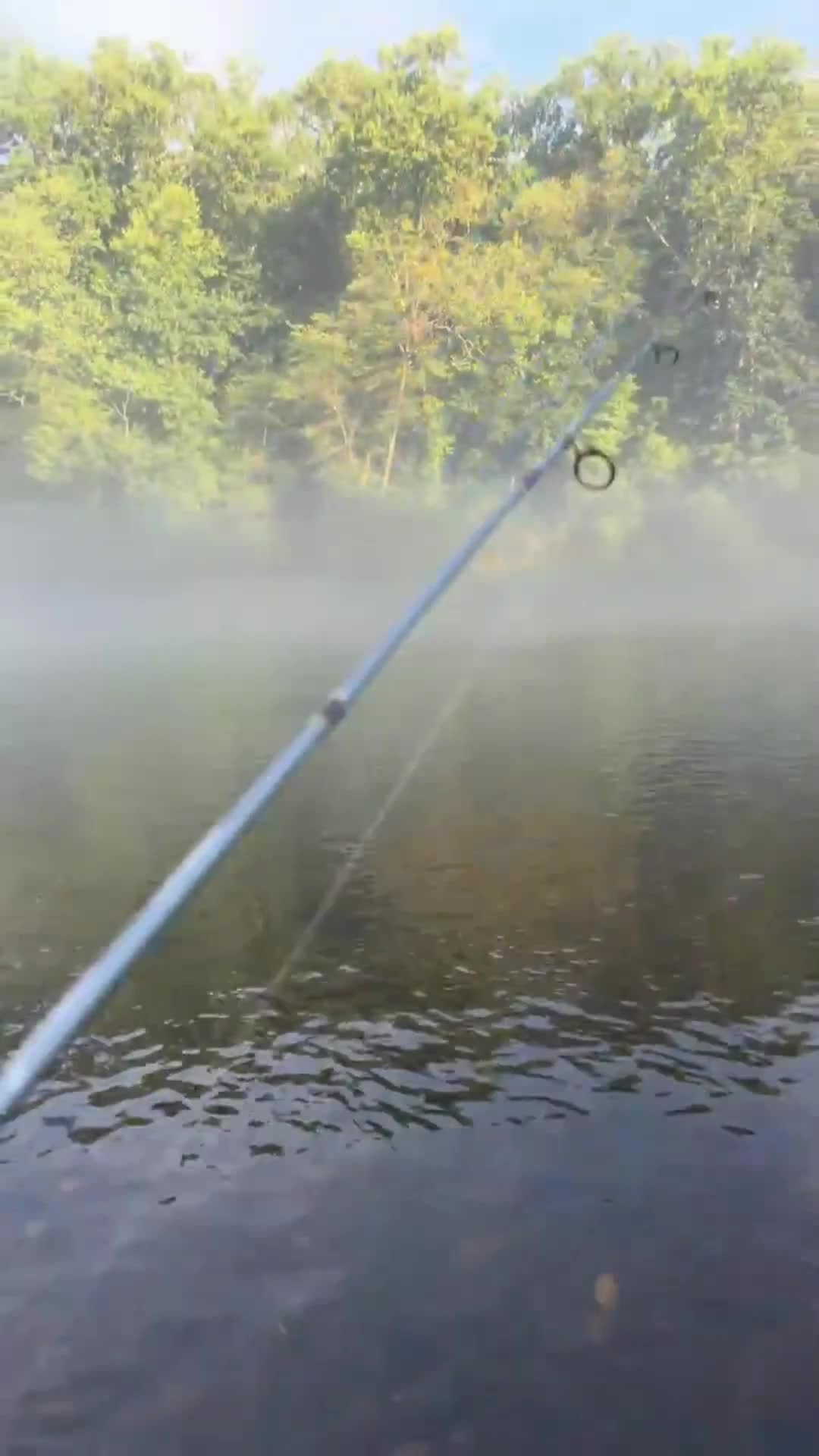 @LOVELACE 🎣