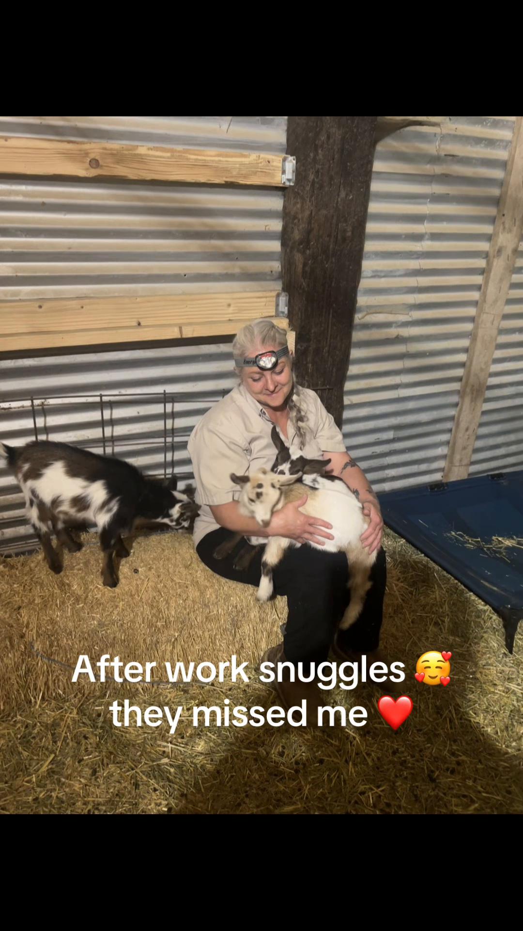 @WollamFarm