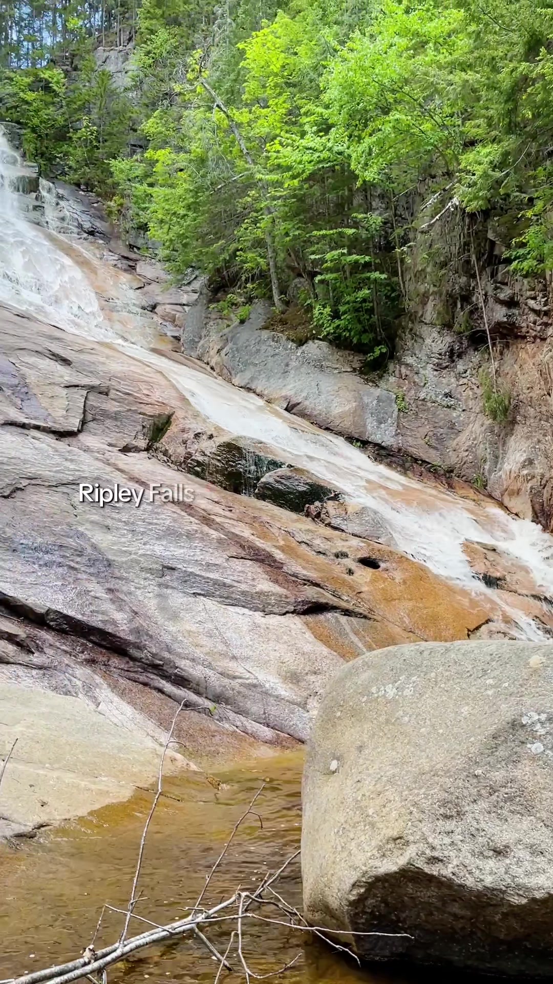 @whitemountainsnh