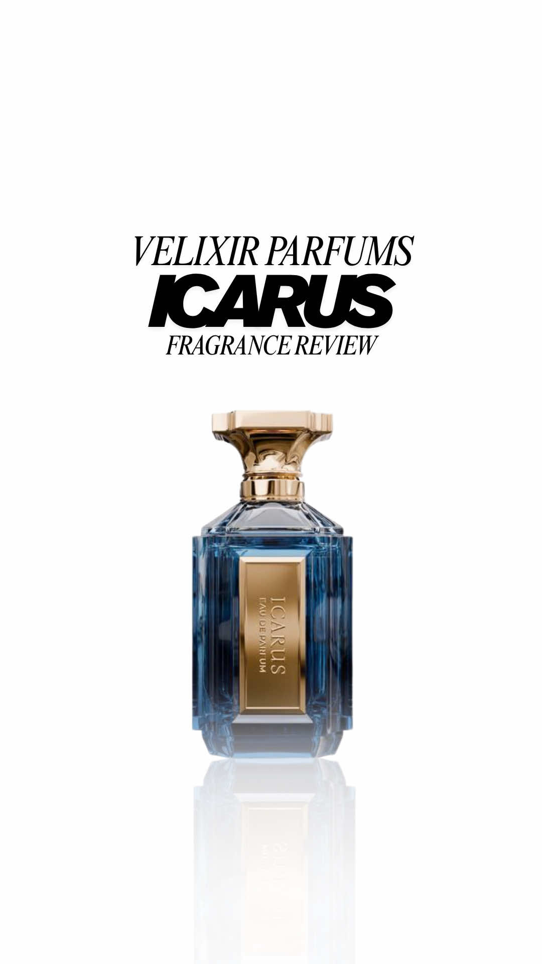 @Dante | Fragrance Reviews