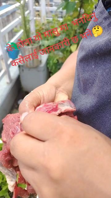 @anishanepali572