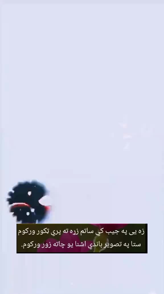 @k p k police k p