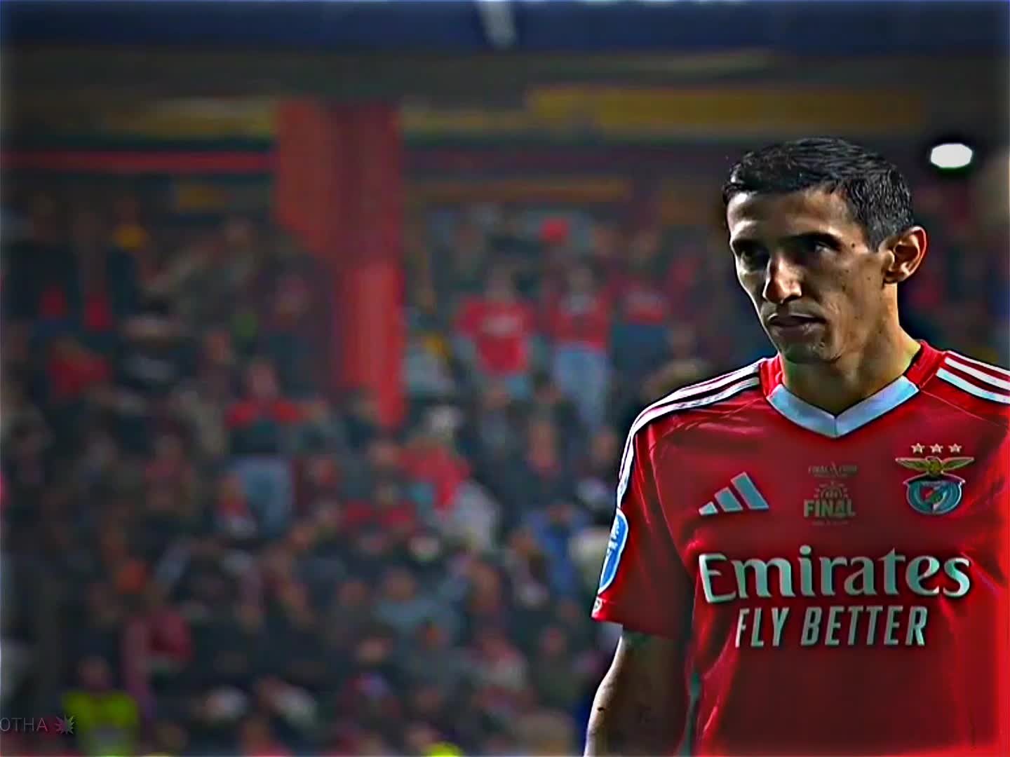 @🇵🇹𝙻𝙴Ꮻ🇦🇷