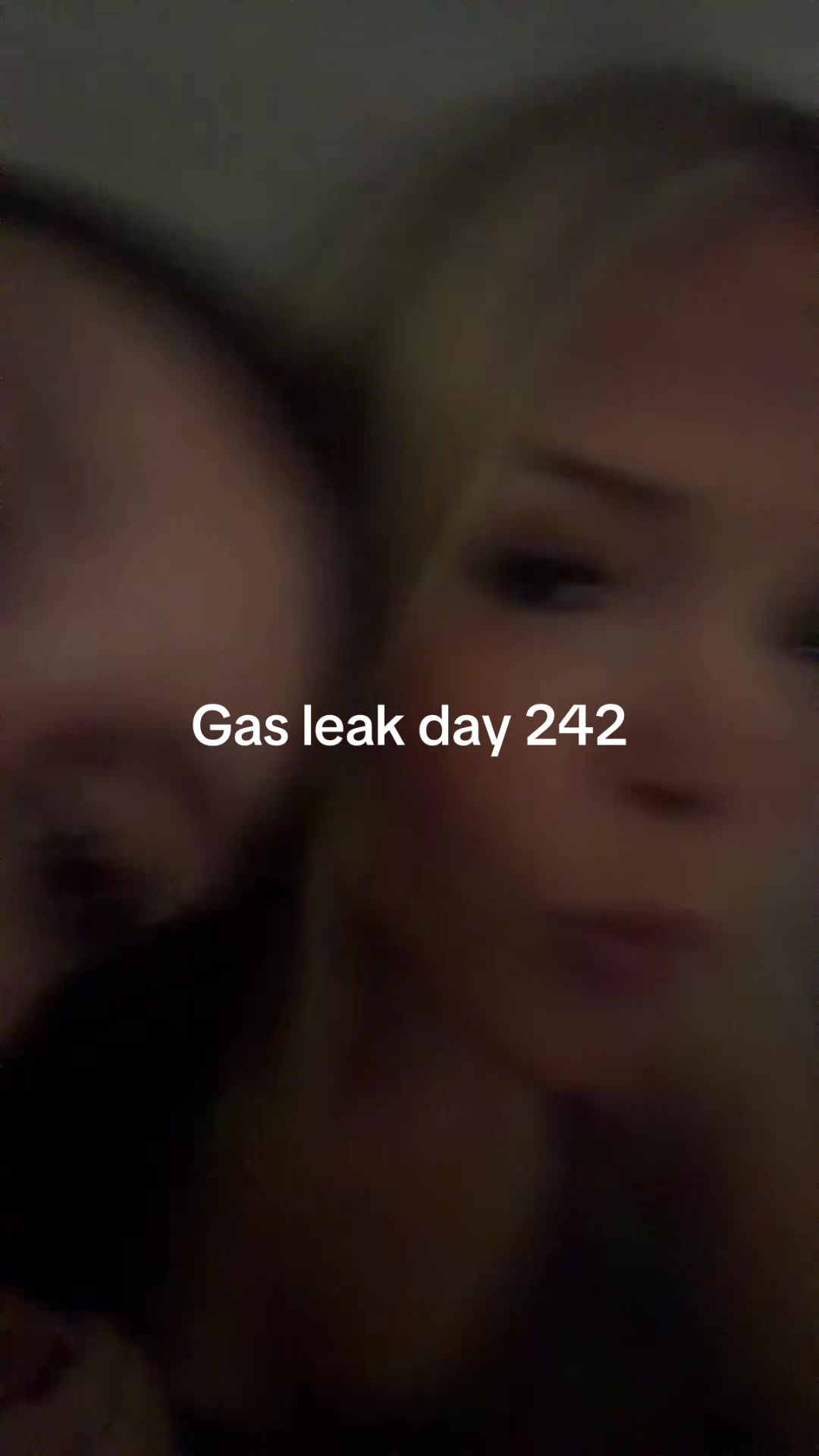 @mykittencatslipperscop3