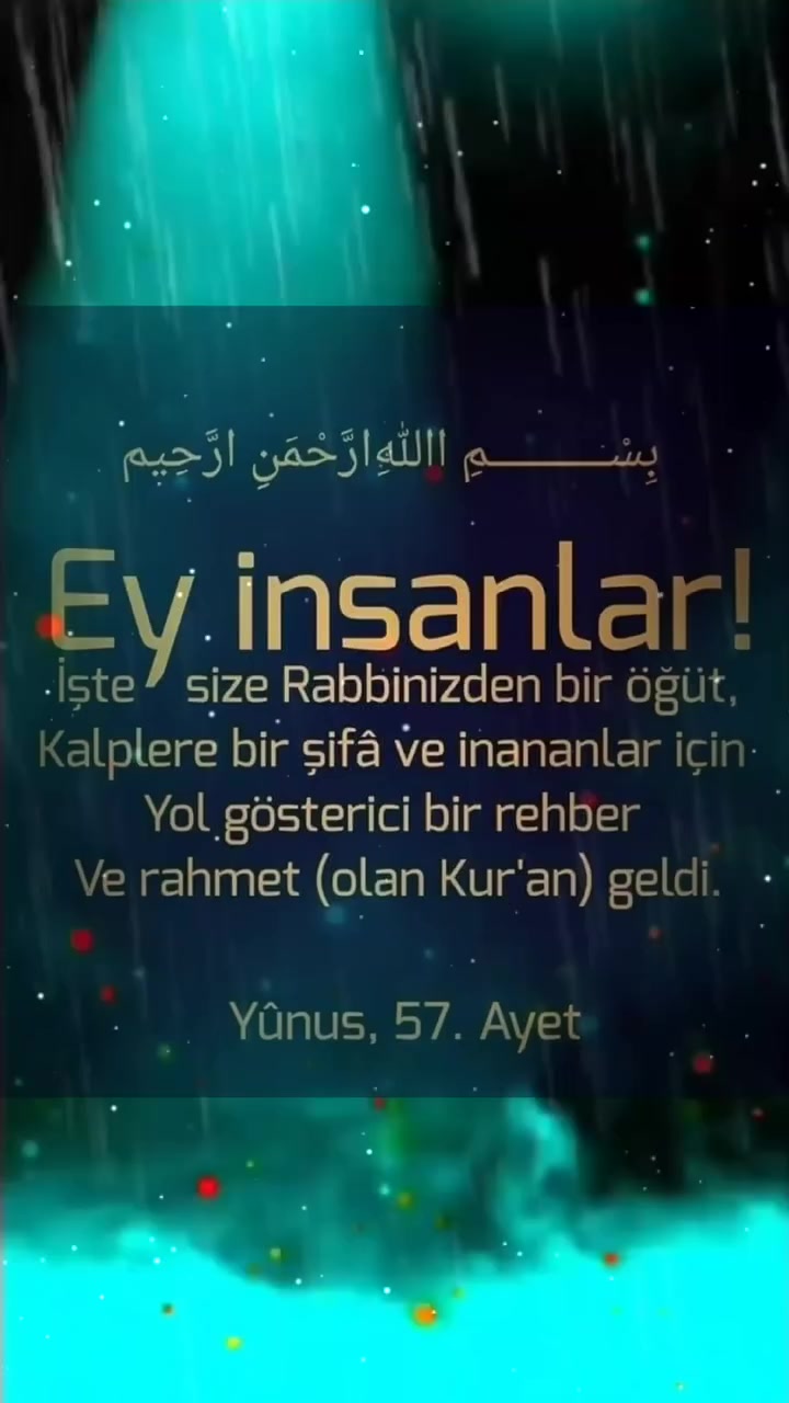 @fenerbahçe SK