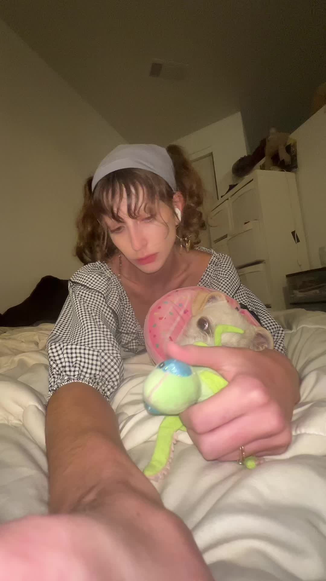 @ponyowantsham