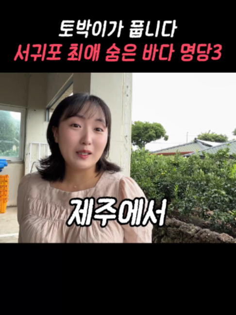 @제주도