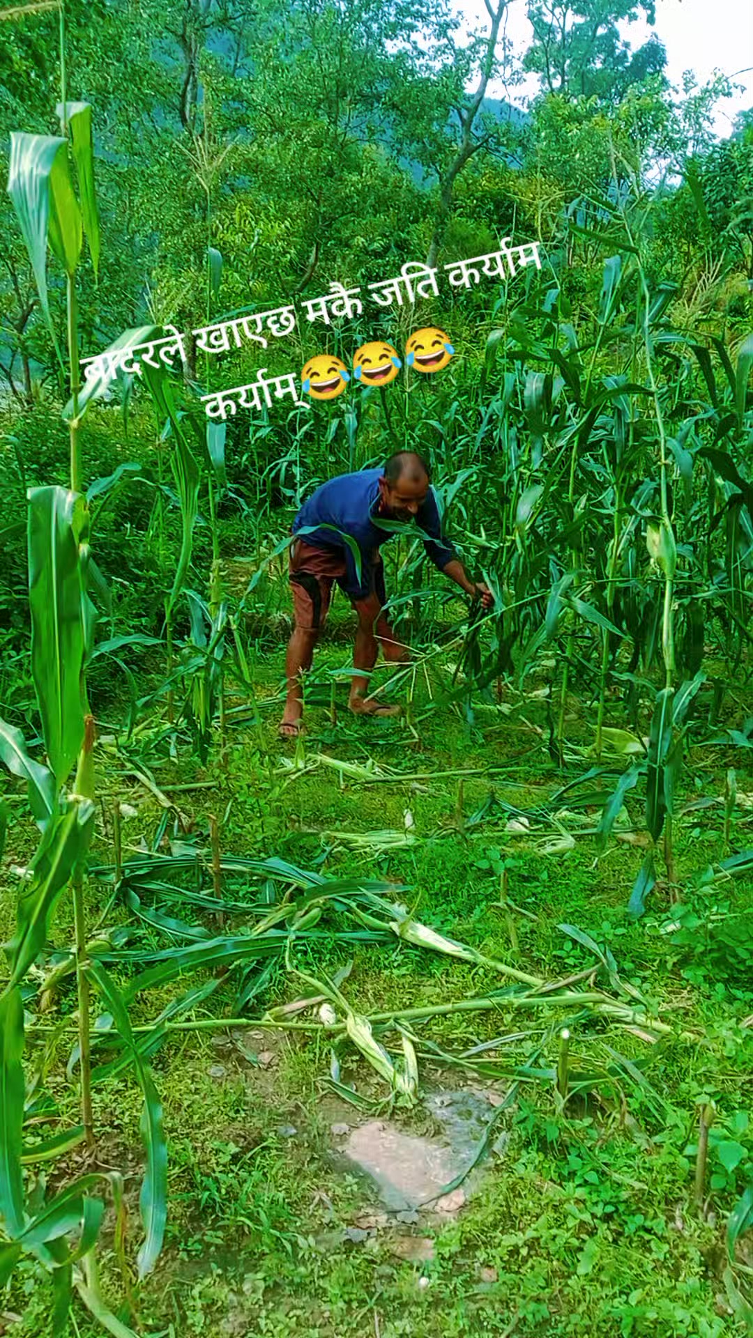 @Krishna Adhikari