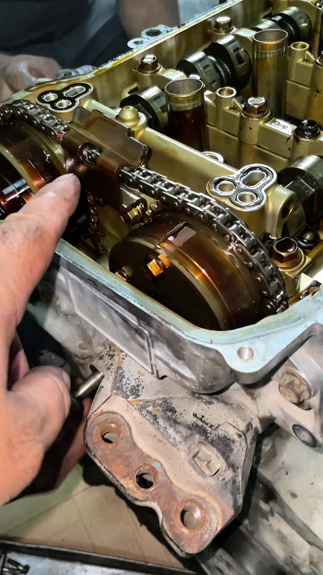 @MS Auto Mechanic