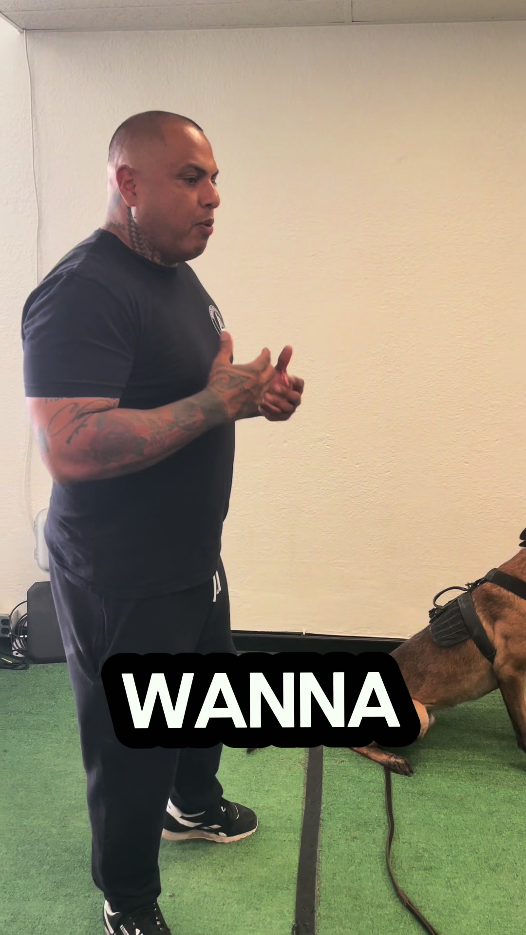 @Tactical K9s Dog Training
