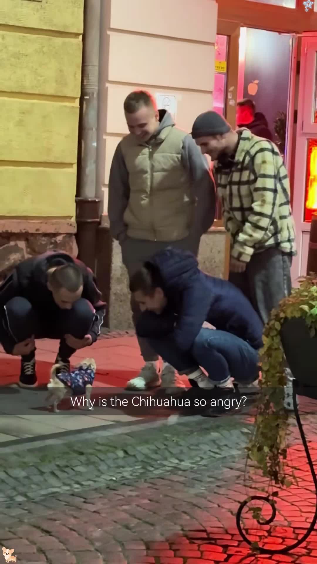 @Miao33