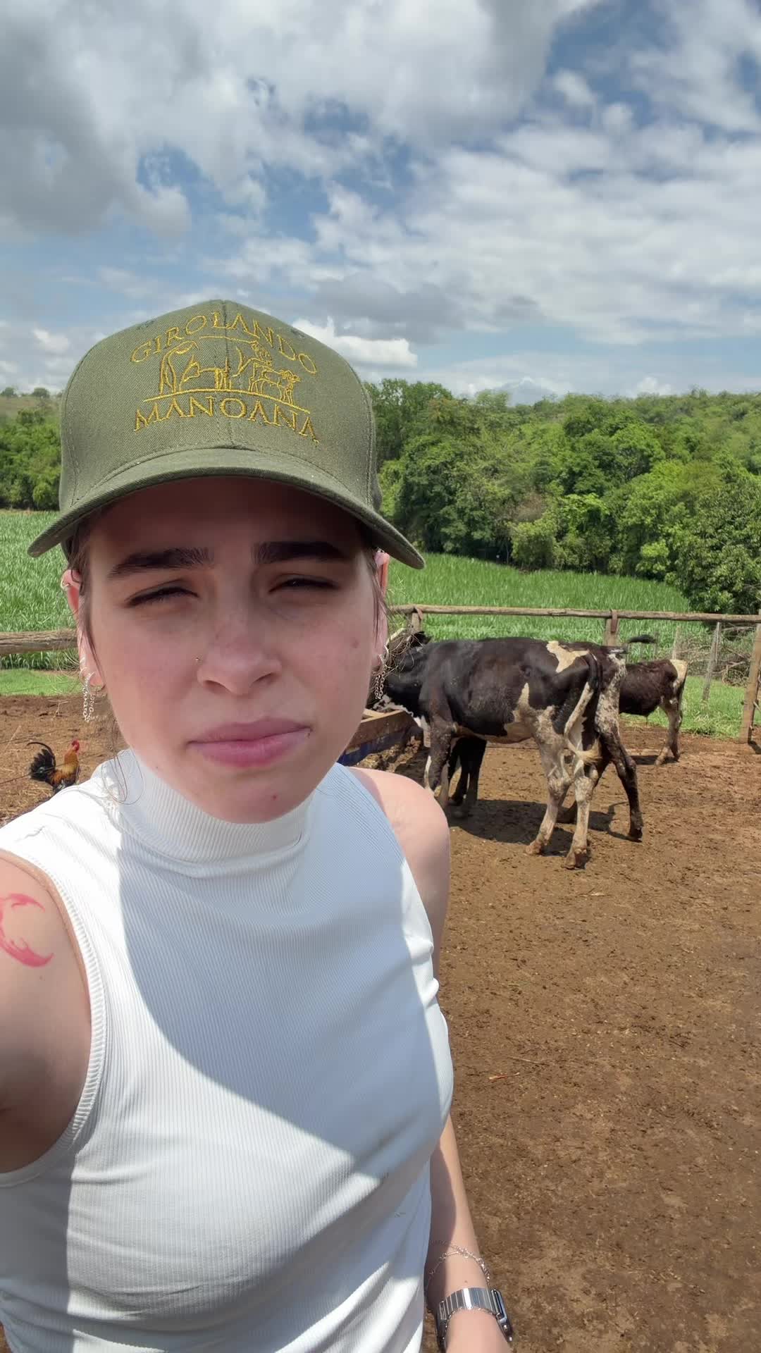 @Laís Fonseca