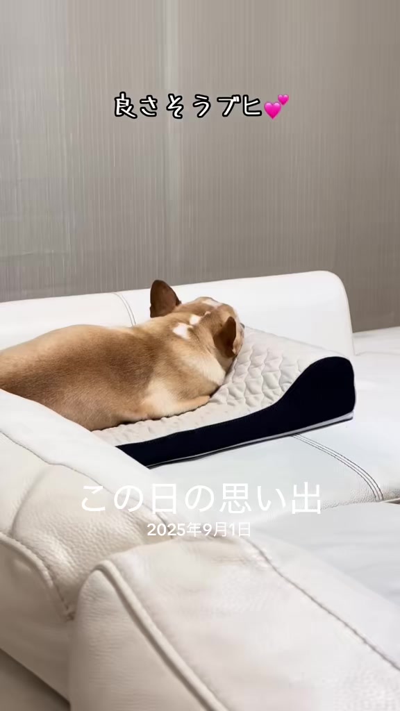 @ごん太