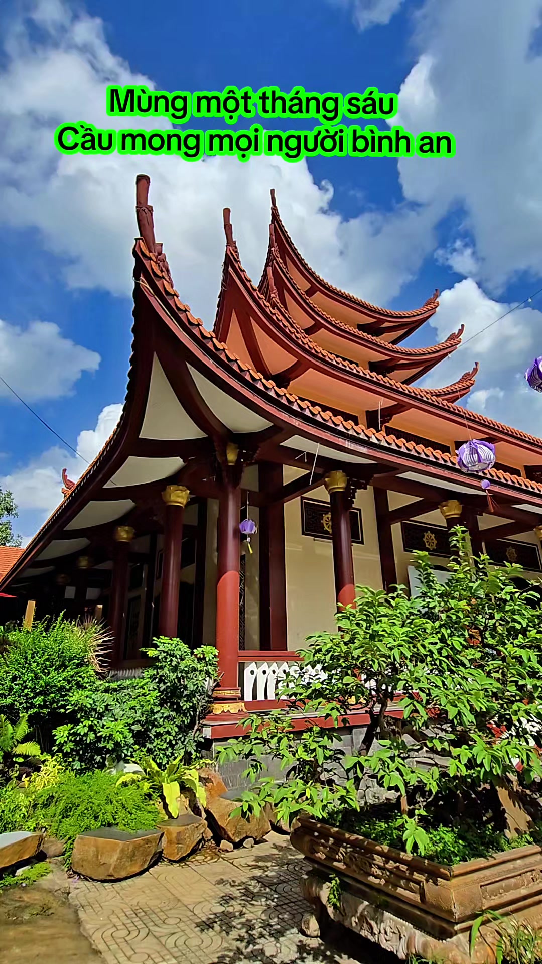 @Sen Hồng