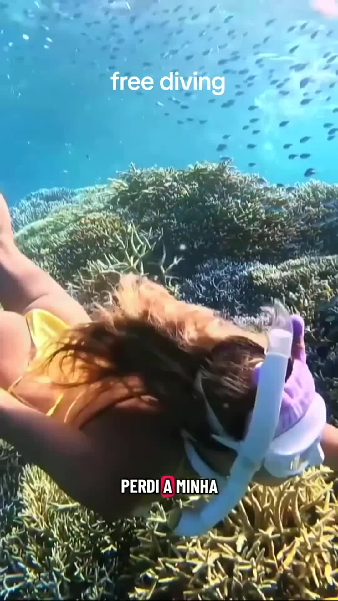 @danijoelle240