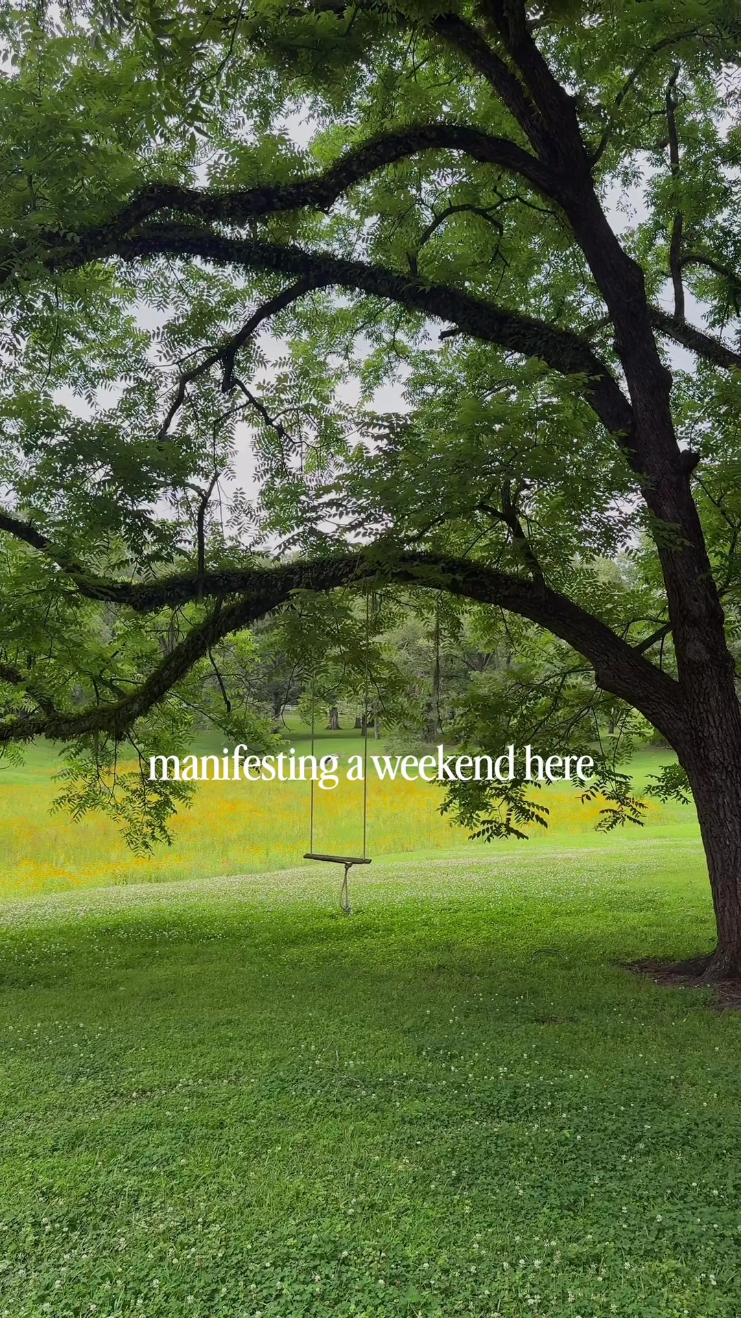 @Field & Forest
