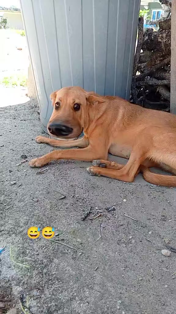 @๐ฅ๐>ฦาฝส
σสιฦα<๐ฆด๐