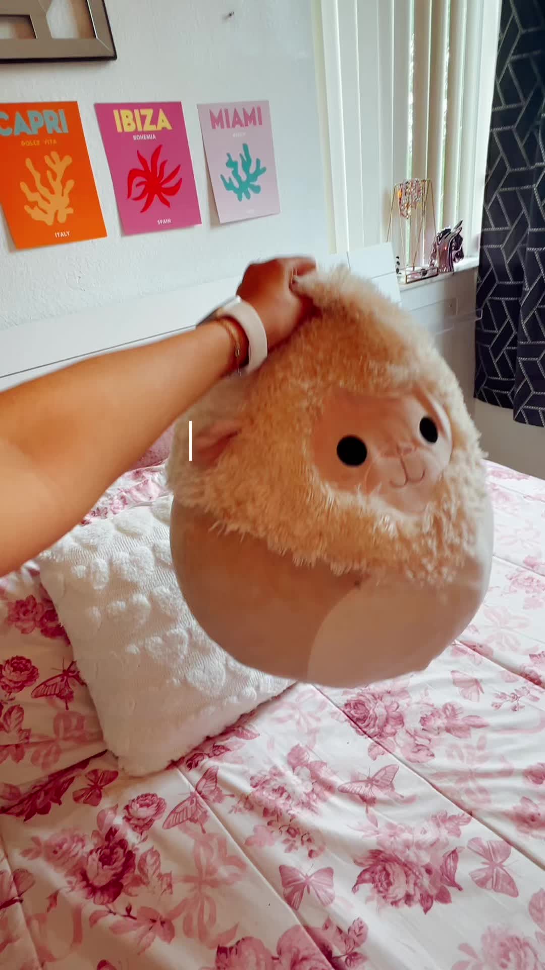 @𝐂 𝐀 𝐌 𝐈 𝐋 𝐀