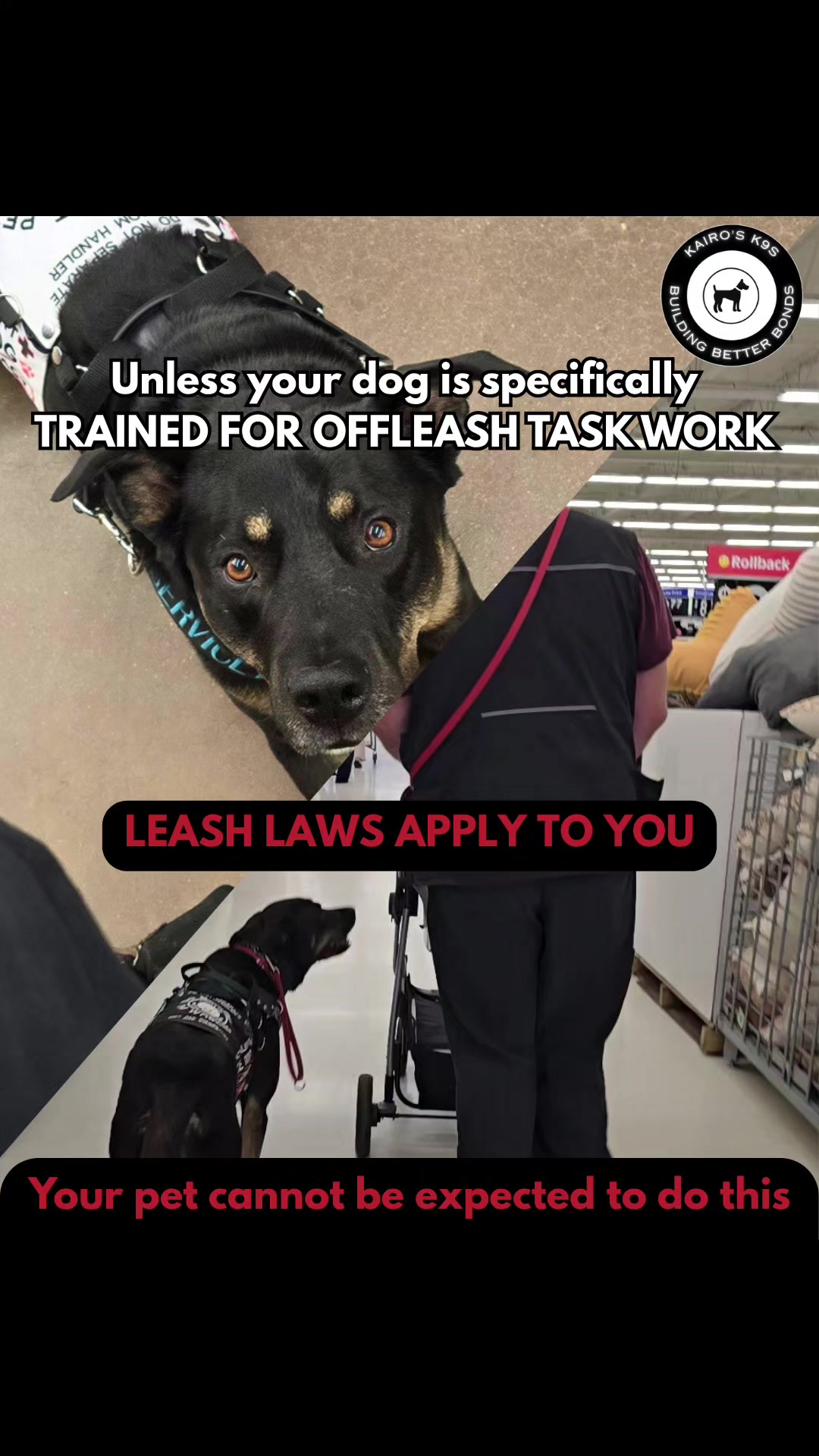 @Kairo's K9s Training 🇨🇦