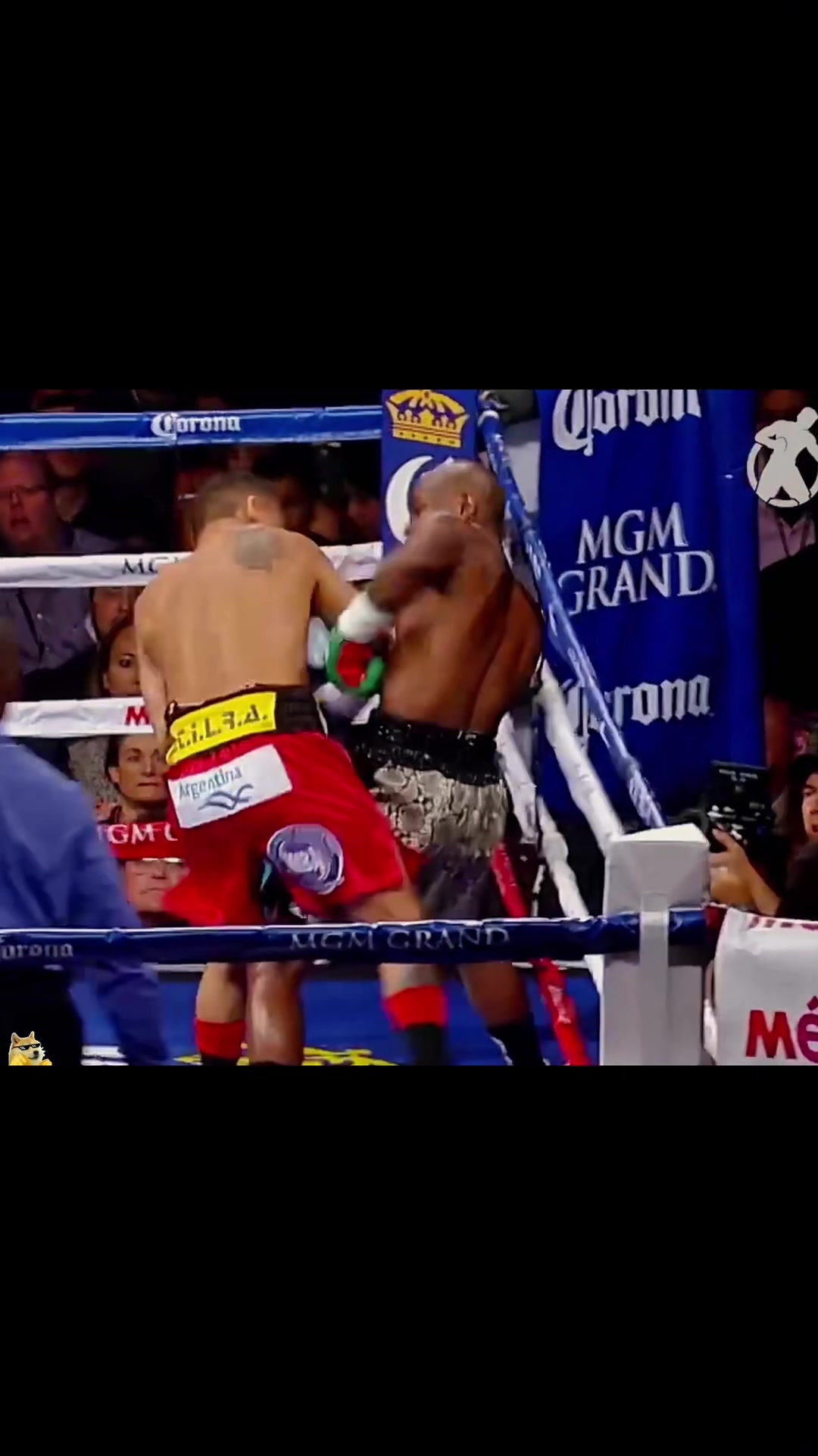 @boxingcat1