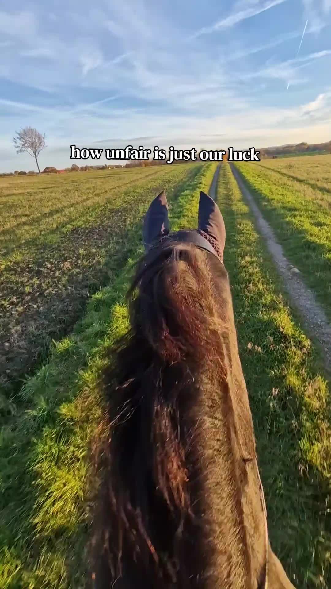 @Soñador