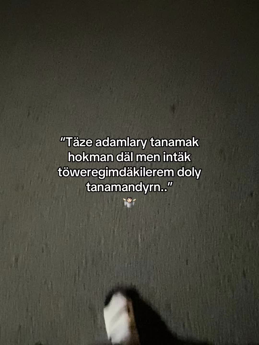 @bally&yacute;evvv