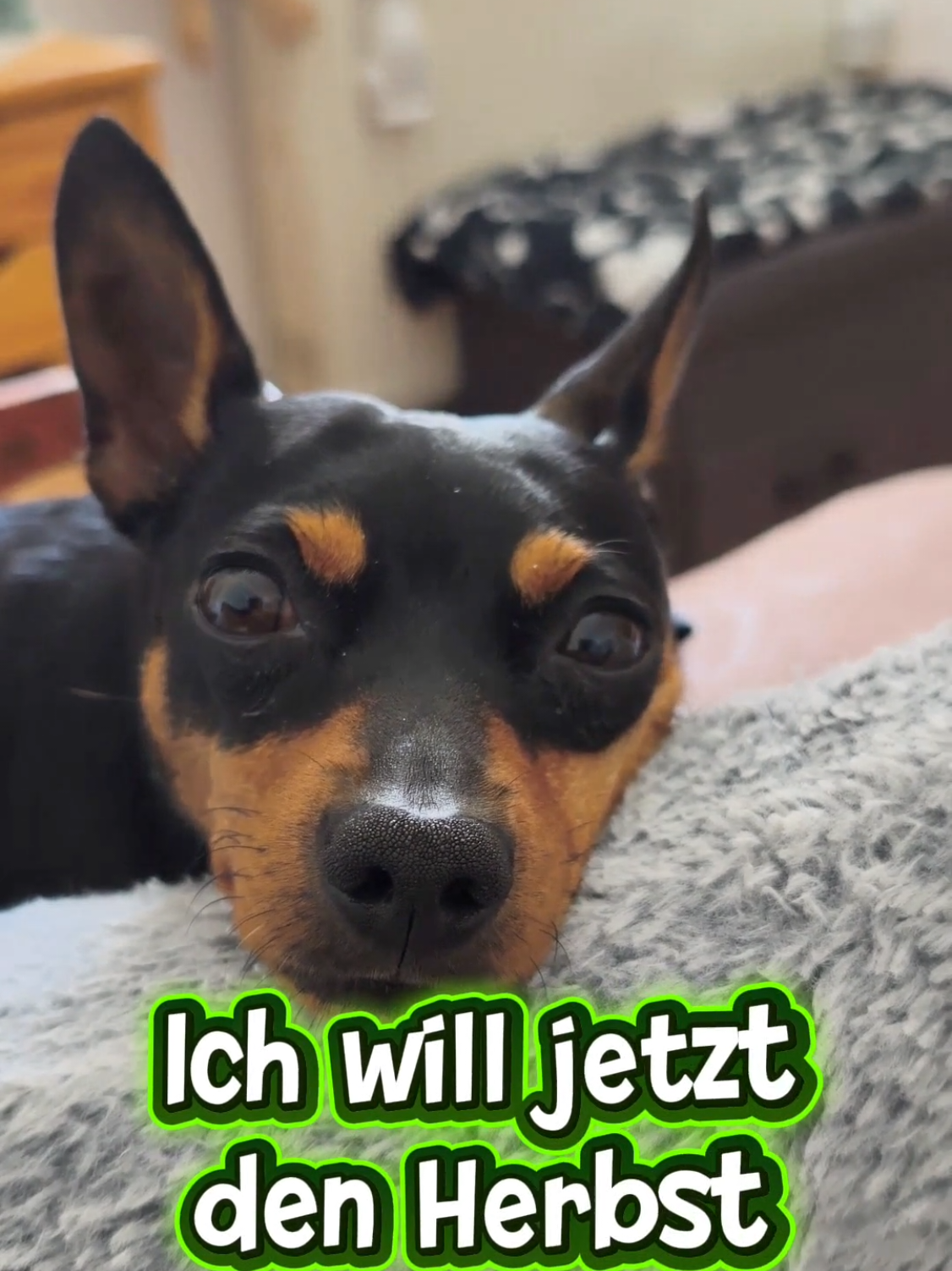 @ICH BIN'S