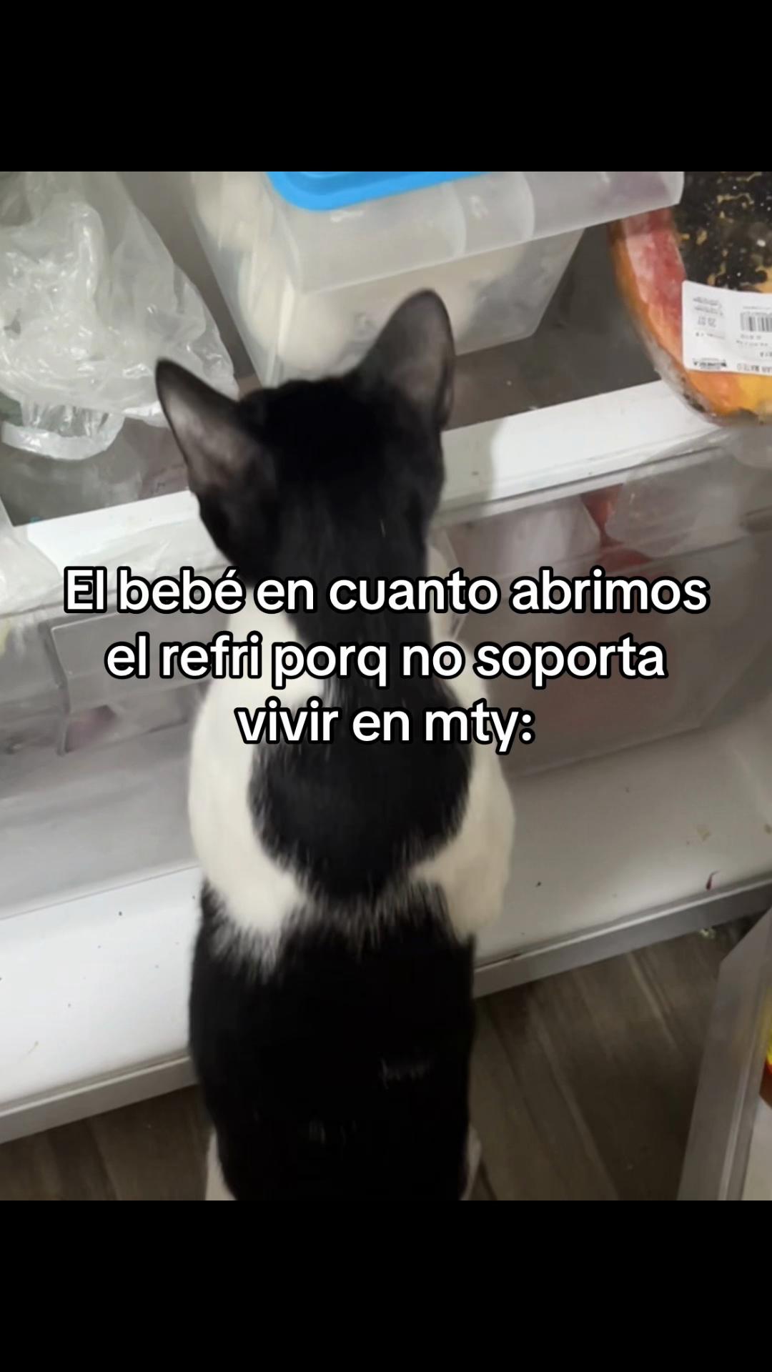 @ari<3