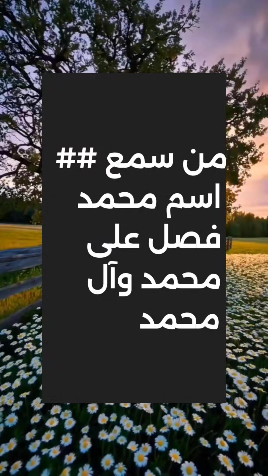 @واثقه بالله