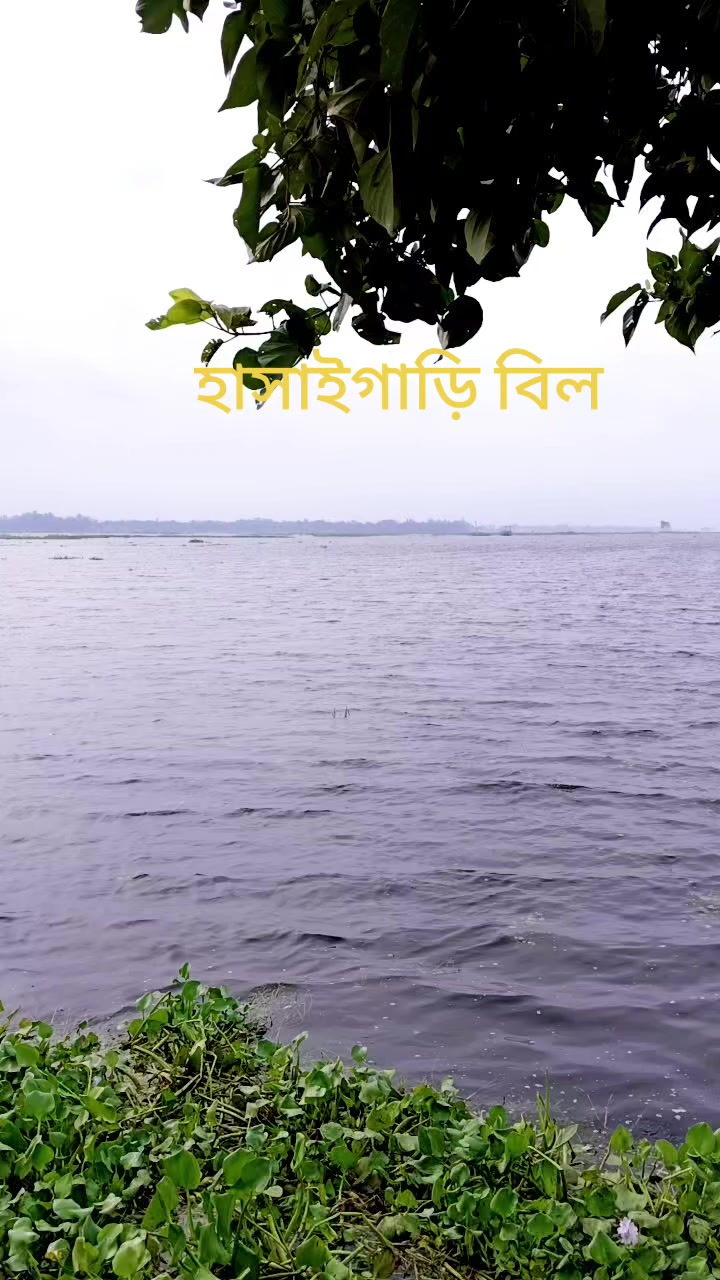 @❤️🅡🅐🅝🅐❤️`ঝরা পাতাシ❤️
