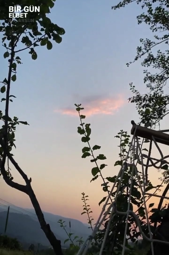 @serapguness21
