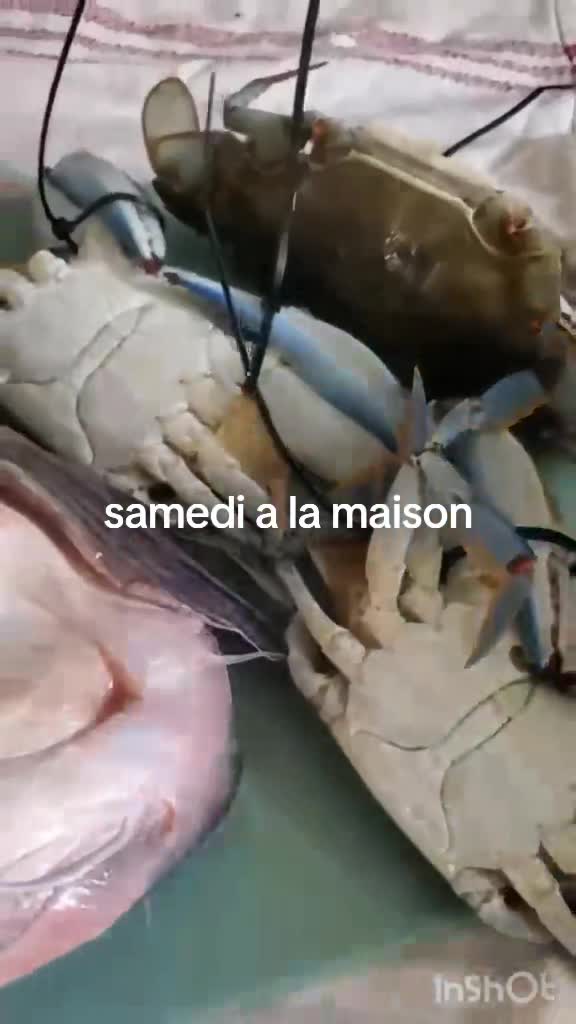 @blanka02