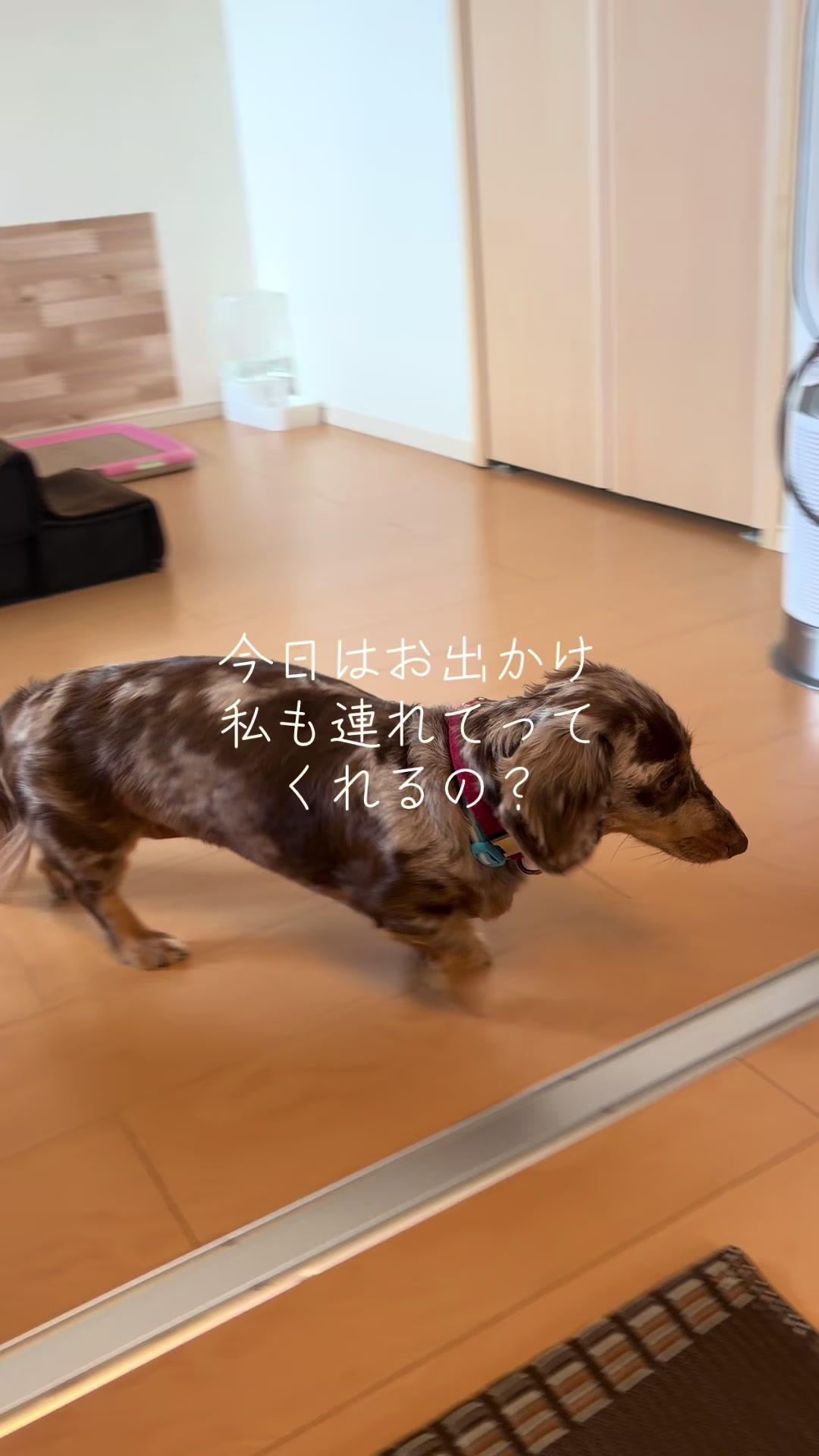 @ケン
