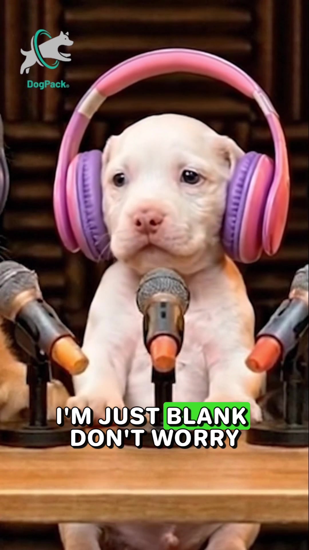 @DogPack