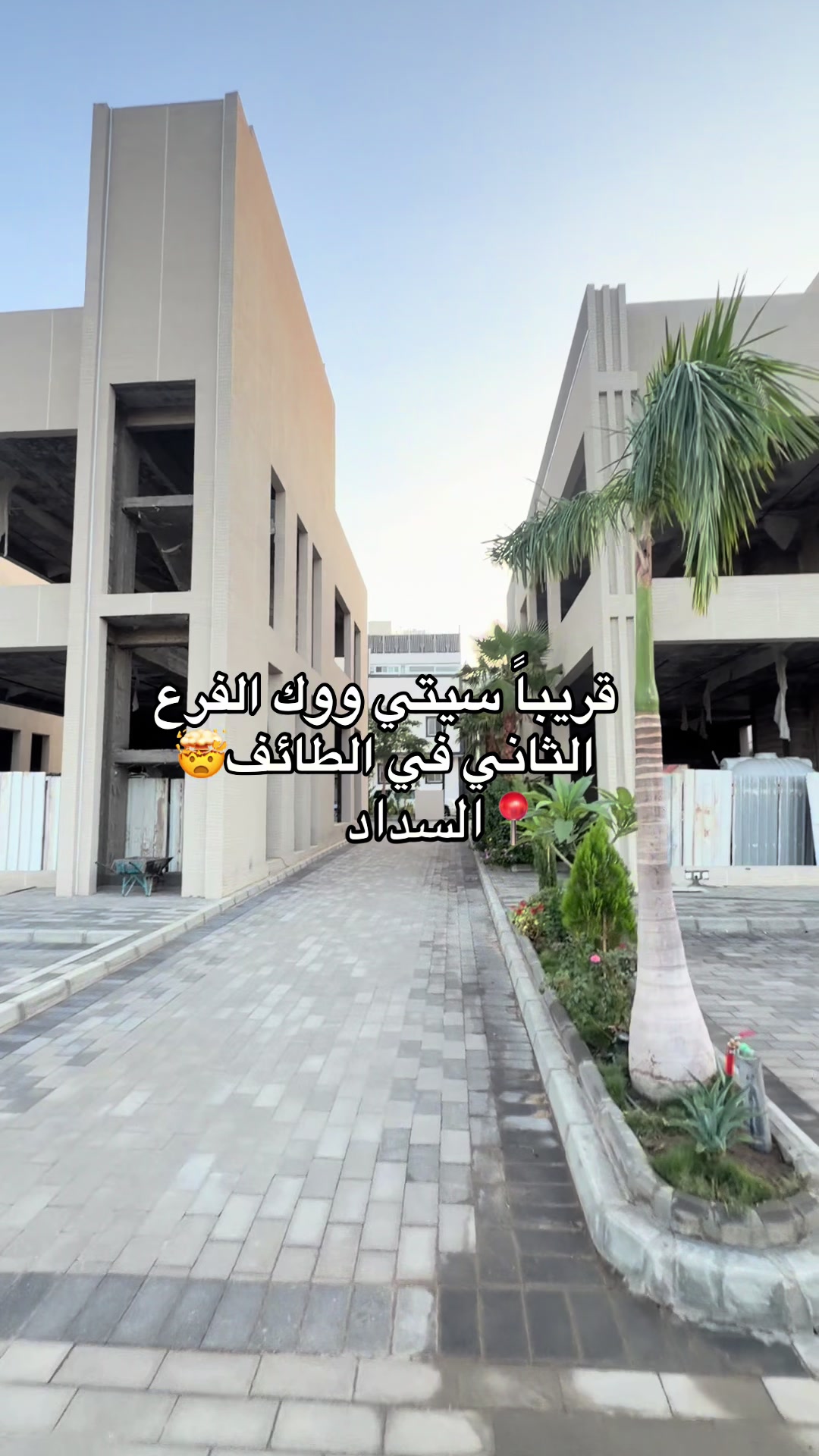 @جديد الطائف 📸