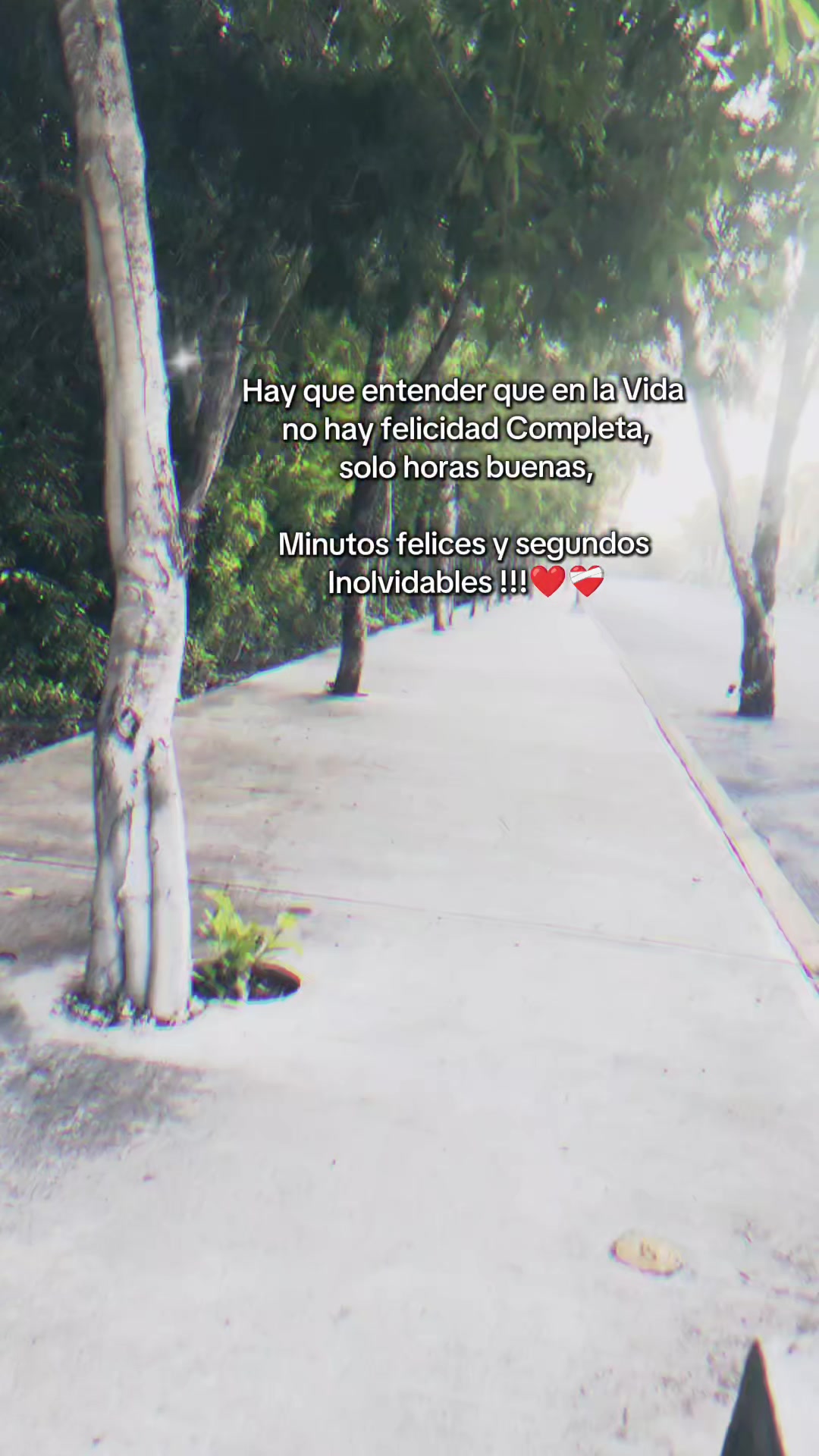 @mateoss 🇲🇽🪽💪🪽