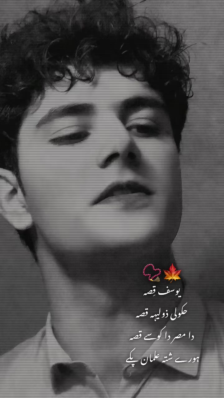 @🍁شہر یار خانی 🦋
