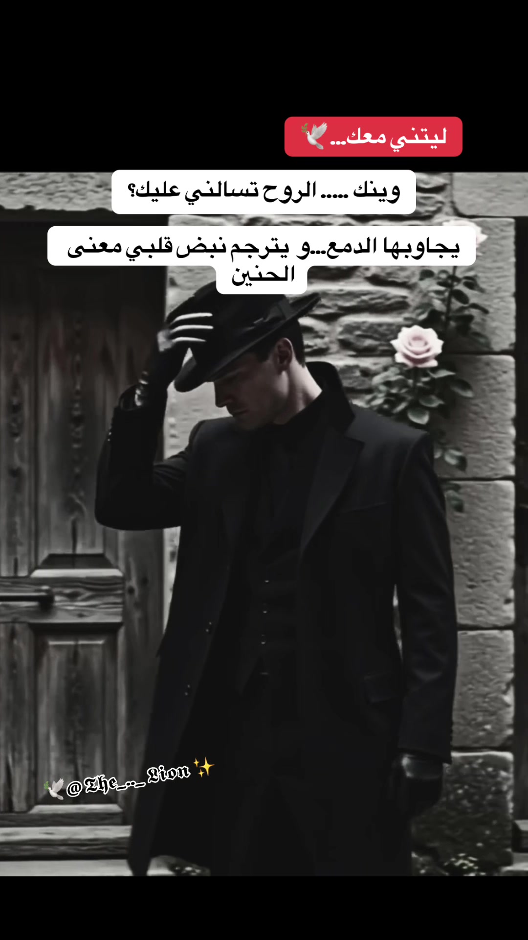 @The Lion 🪽 خاطره في دفتري